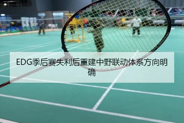 EDG季后赛失利后重建中野联动体系方向明确